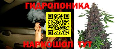 дмт Рыбинск
