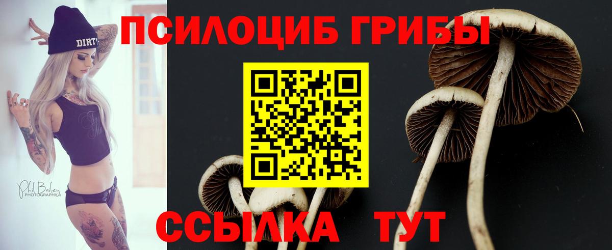 Галлюциногенные грибы мицелий  Вход с VPN  Псилоцибиновые грибы Psilocybe  Саратов 